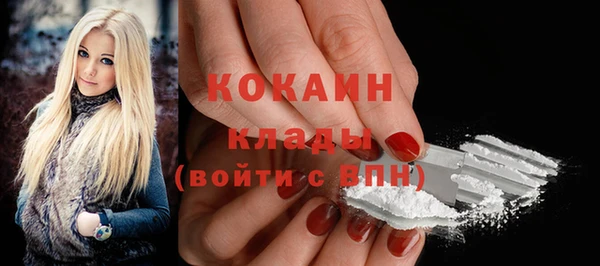 твердый Абаза